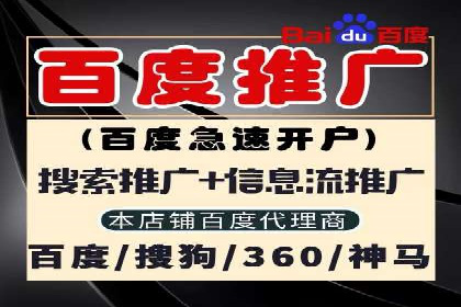 SEM服务公司助力企业流量增长案例